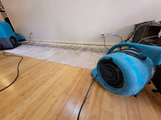 Professional Basement Flood Cleanup technician working in Tilden, TX